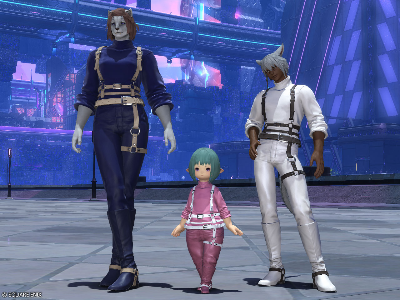 FFXIV Belt-Leather Trousers Set