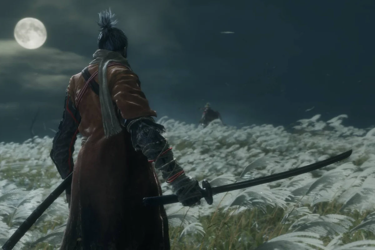A Sekiro: Shadows Die Twice Anime Might Be Nearer Than You Think