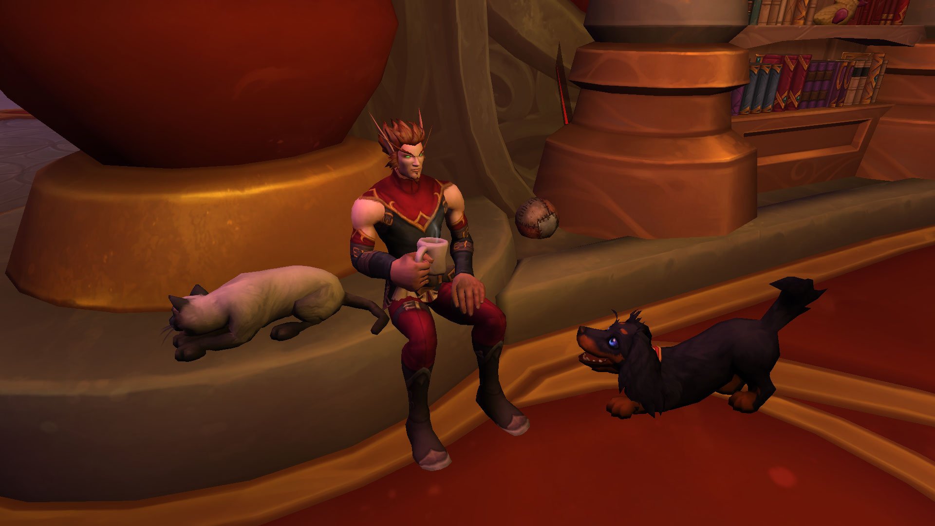 Players Are Falling in Love with Silvermoon’s Secret Pet Café