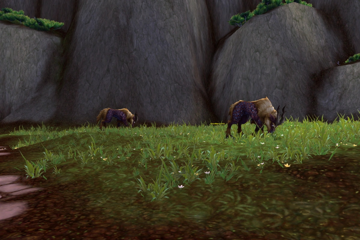 11.2.7 Quietly Added 4 New Hunter Pets on the Wandering Isle