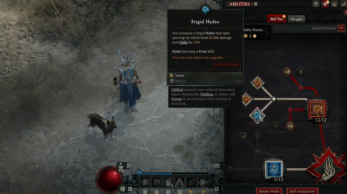 Diablo 4 lord of hatred sorcerer frost Hydra skill