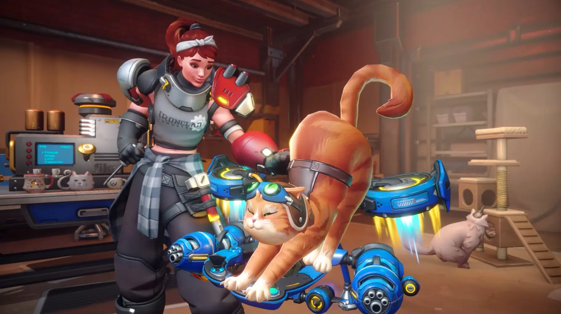 Blizzard Insists It Is Just a Cat but Overwatch Players Disagree