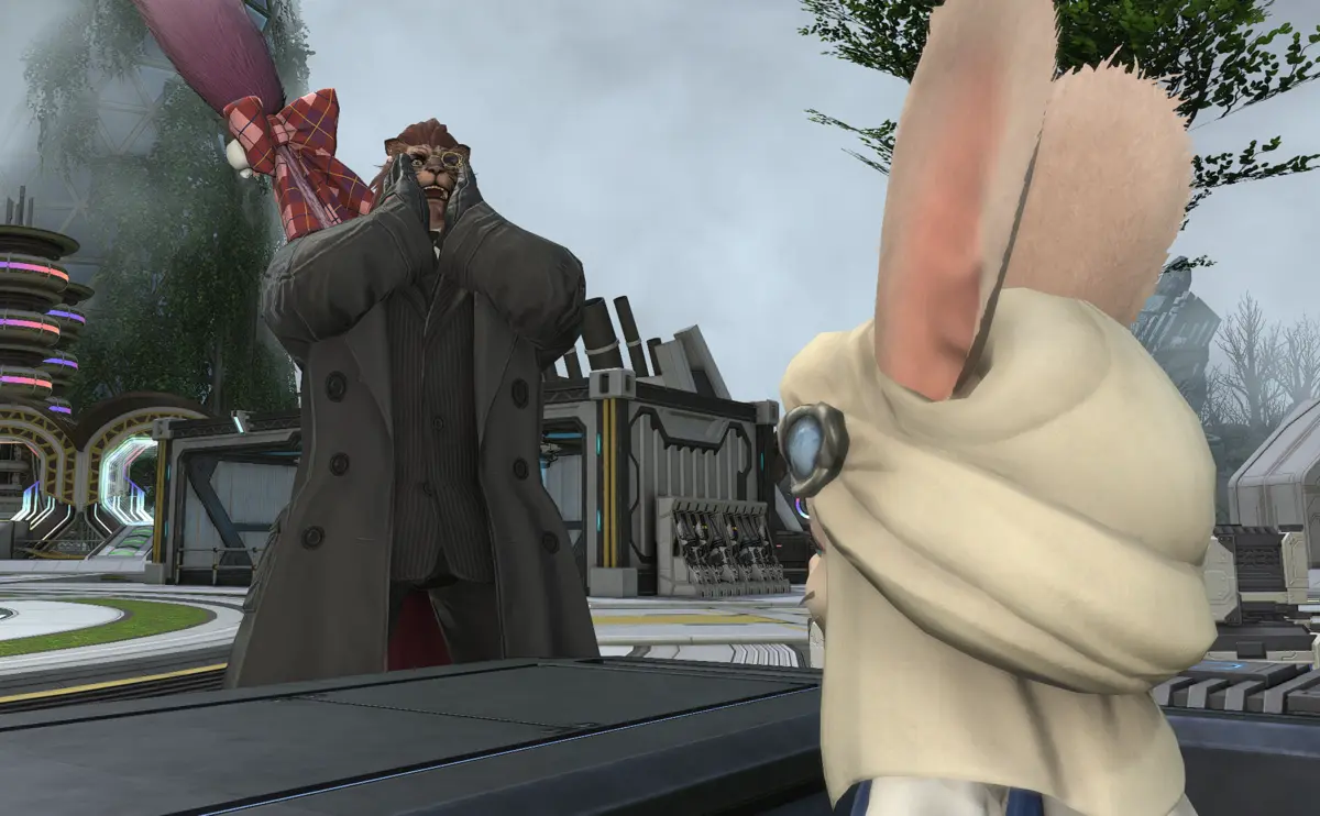 FFXIV Players Blown Away By Store Updates!