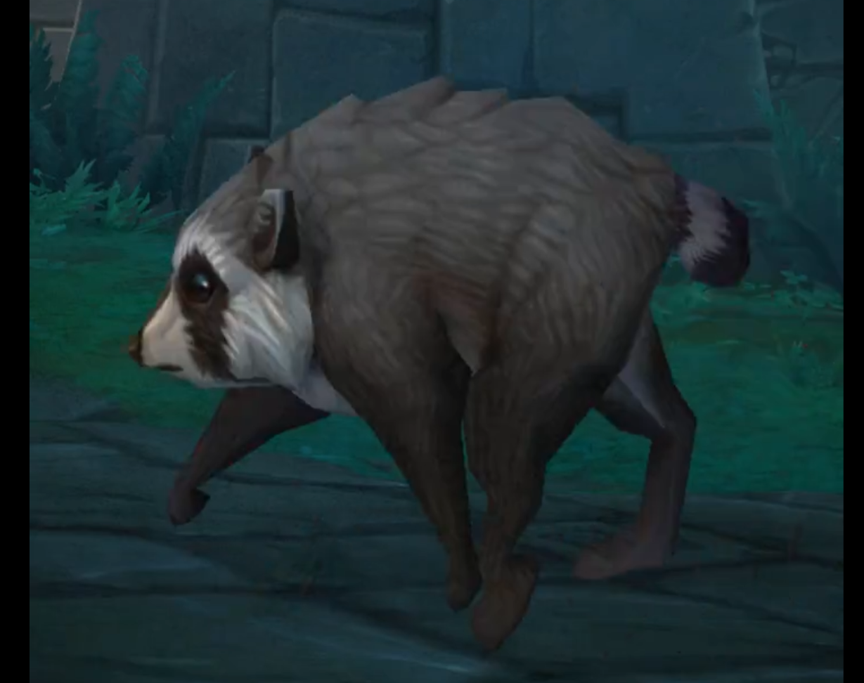 World of Warcraft is Immortalizing Jimothy the Raccoon