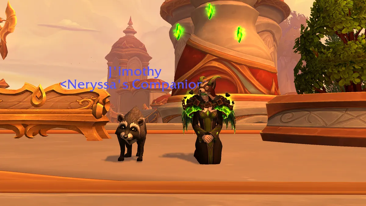 J’imothy the Raccoon Was Hiding in Silvermoon All Along