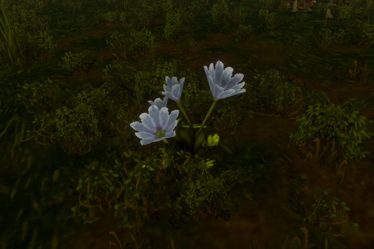 Players Are Already Looting Seeds for a WoW Forever Greenhouse No One Can Craft Yet