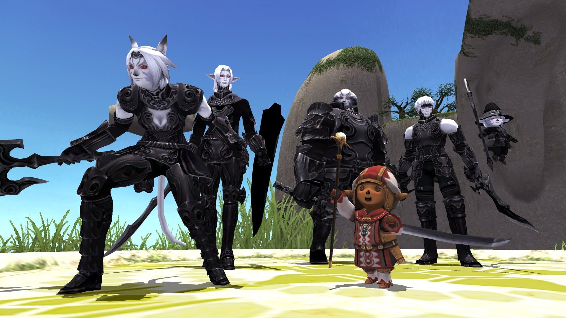 A team of various races from Final Fantasy XI