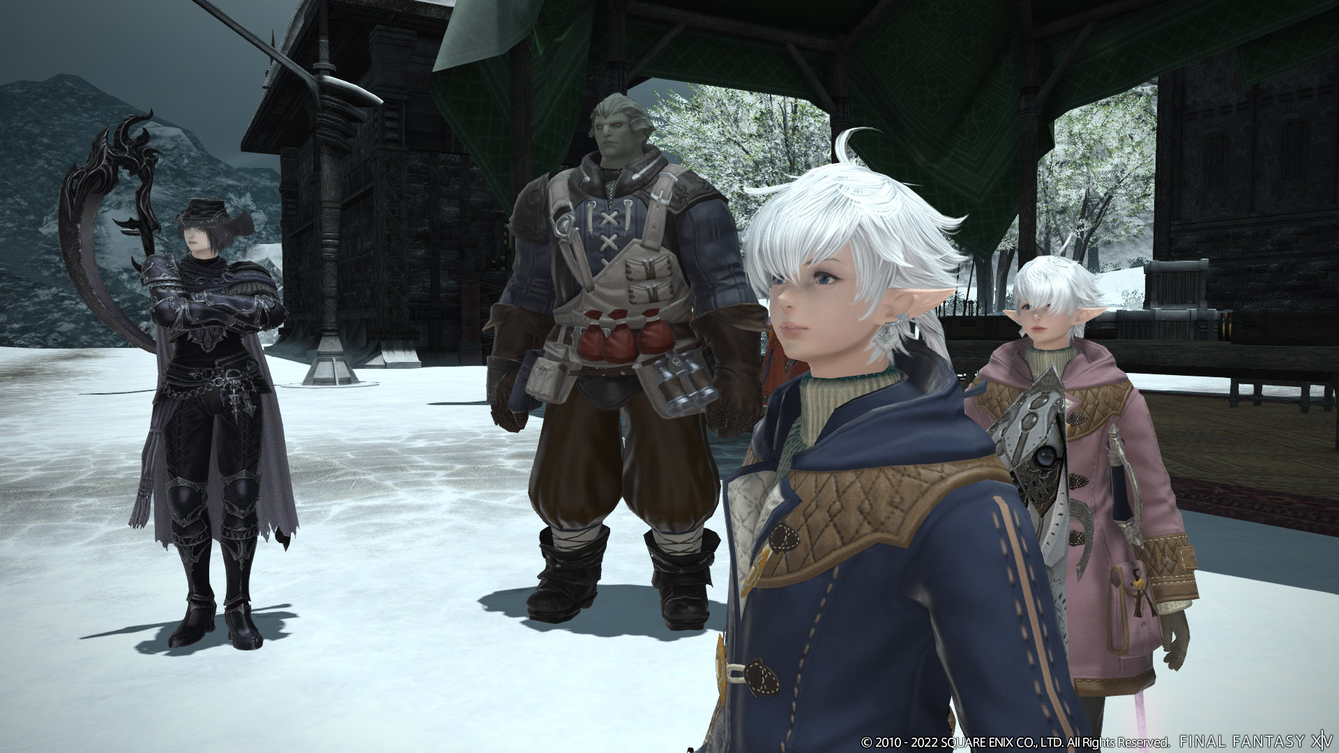 Alphinaud and Alisaie standing in the snow in a group