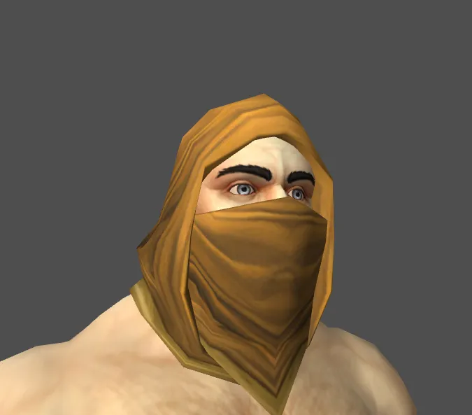 Stolen Wastewander Cowl.